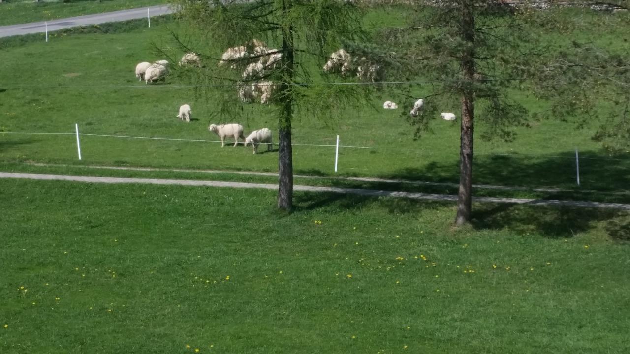 Apartmán Janosik Bustryk Exteriér fotografie